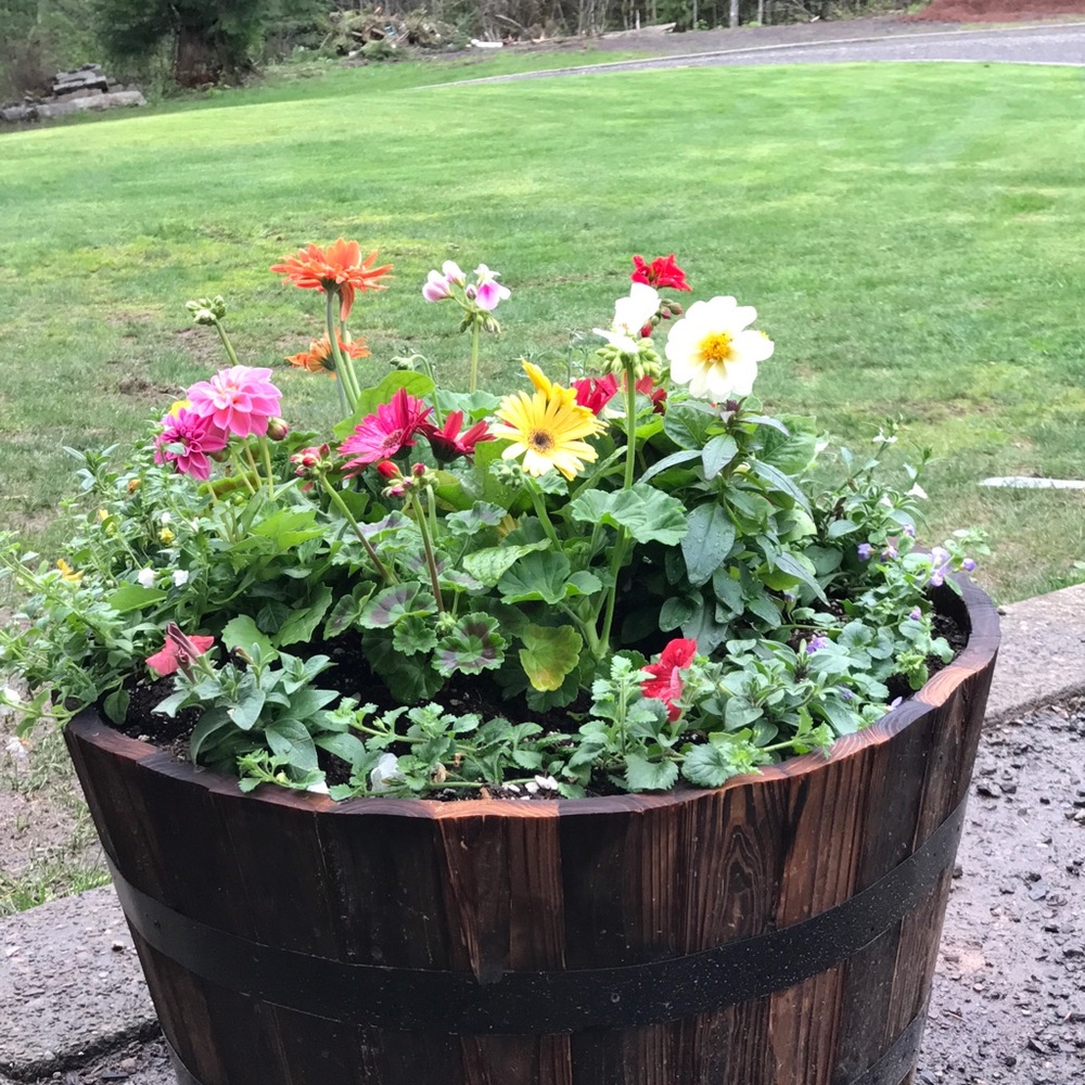 Meet your Posher, Stacy